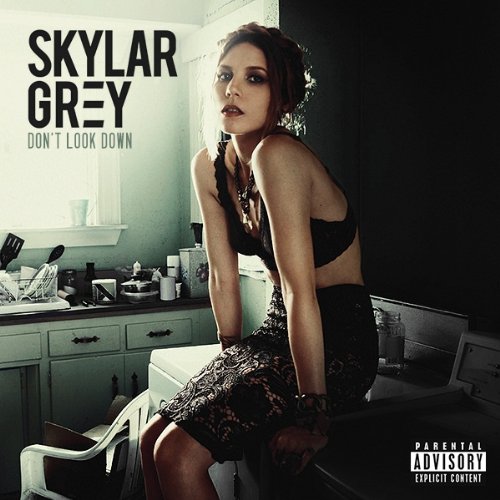 Skylar Grey Final Warning profile image