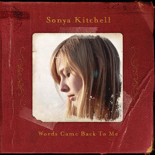 Sonya Kitchell Tinted Glass profile image
