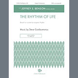 Steve Cardiasmenos picture from The Rhythm Of Life released 07/17/2025