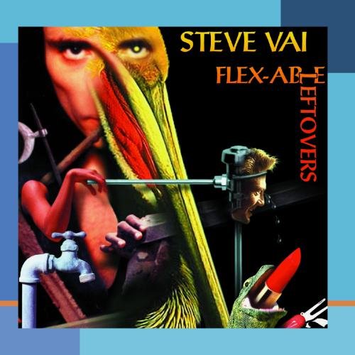 Steve Vai Little Pieces Of Seaweed profile image