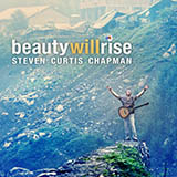 Steven Curtis Chapman picture from Beauty Will Rise released 12/28/2009