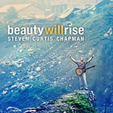 Steven Curtis Chapman picture from God Is It True (Trust Me) released 12/28/2009