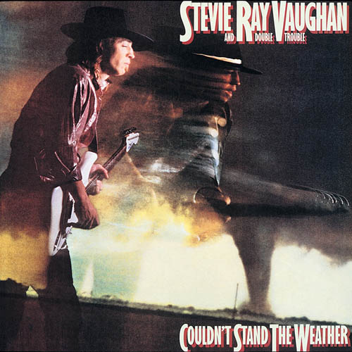 Stevie Ray Vaughan Give Me Back My Wig profile image