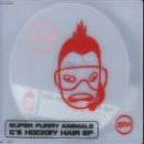 Super Furry Animals picture from Ice Hockey Hair released 03/10/2009