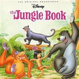 Terry Gilkyson picture from The Bare Necessities (from Disney's The Jungle Book) (arr. Nicholas Hare) released 06/06/2016