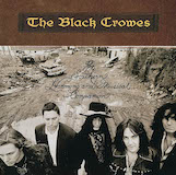 The Black Crowes picture from Remedy released 01/06/2016