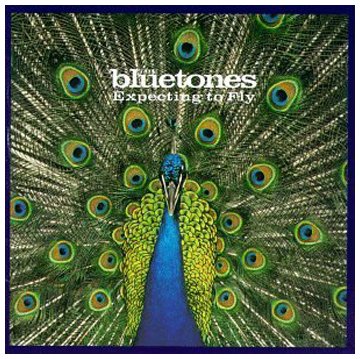 The Bluetones Bluetonic profile image