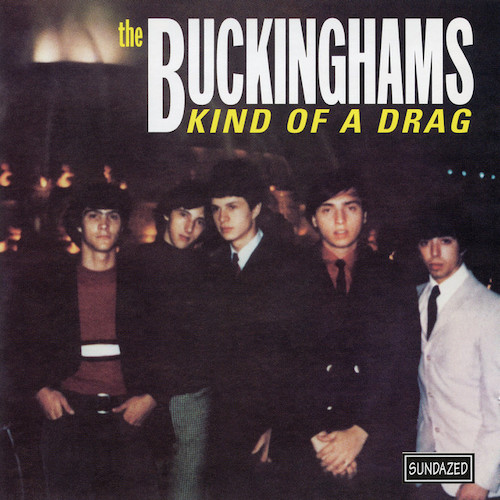 The Buckinghams Kind Of A Drag profile image