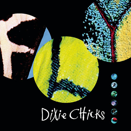 Dixie Chicks If I Fall You're Going Down With Me profile image