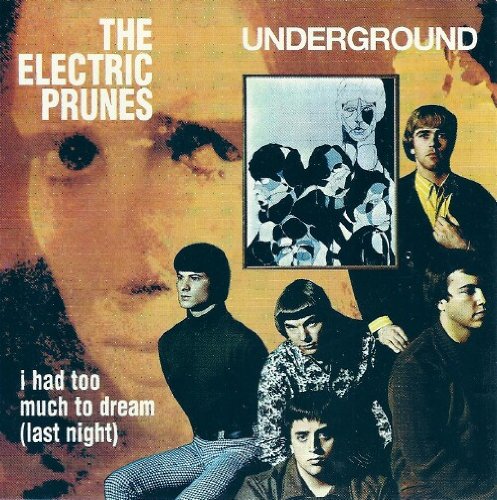The Electric Prunes I Had Too Much To Dream (Last Night) profile image
