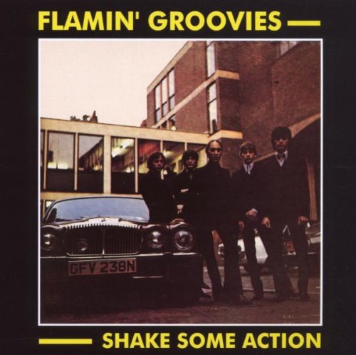 The Flamin' Groovies Shake Some Action profile image