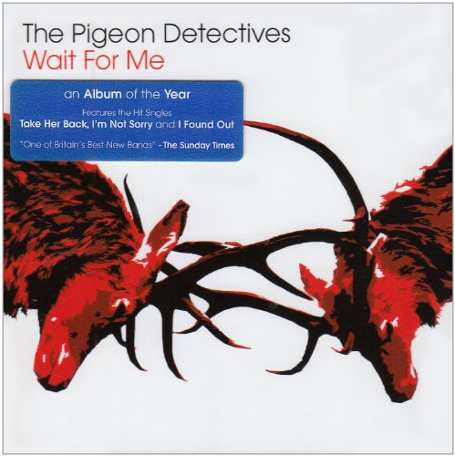 The Pigeon Detectives I'm Not Sorry profile image