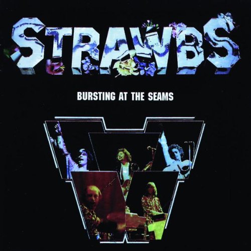 The Strawbs Part Of The Union profile image