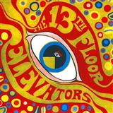 The Thirteenth Floor Elevators picture from You're Gonna Miss Me released 11/11/2008