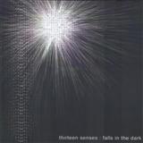 Thirteen Senses picture from Do No Wrong released 08/11/2004