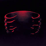 Tool picture from 4 Degrees released 07/15/2013