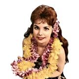 Traditional Hawaiian Folk Song picture from Maori Farewell Song released 03/12/2004