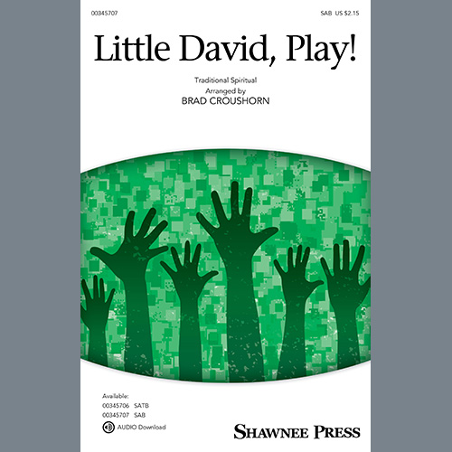 Traditional Spiritual Little David, Play! (arr. Brad Crous profile image