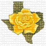 Traditional picture from The Yellow Rose Of Texas released 05/04/2011