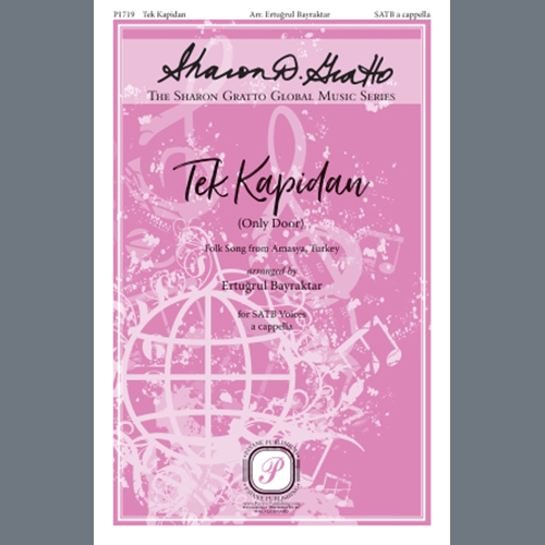 Turkish Folk Song Tek Kapidan (Only Door) (arr. Ertugr profile image