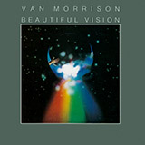 Van Morrison picture from Cleaning Windows released 09/10/2010