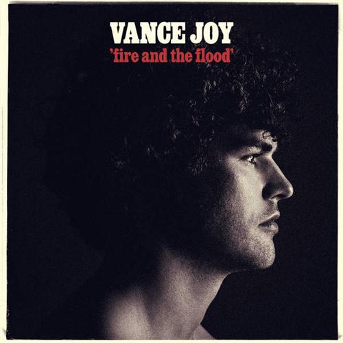 Vance Joy Fire And The Flood profile image